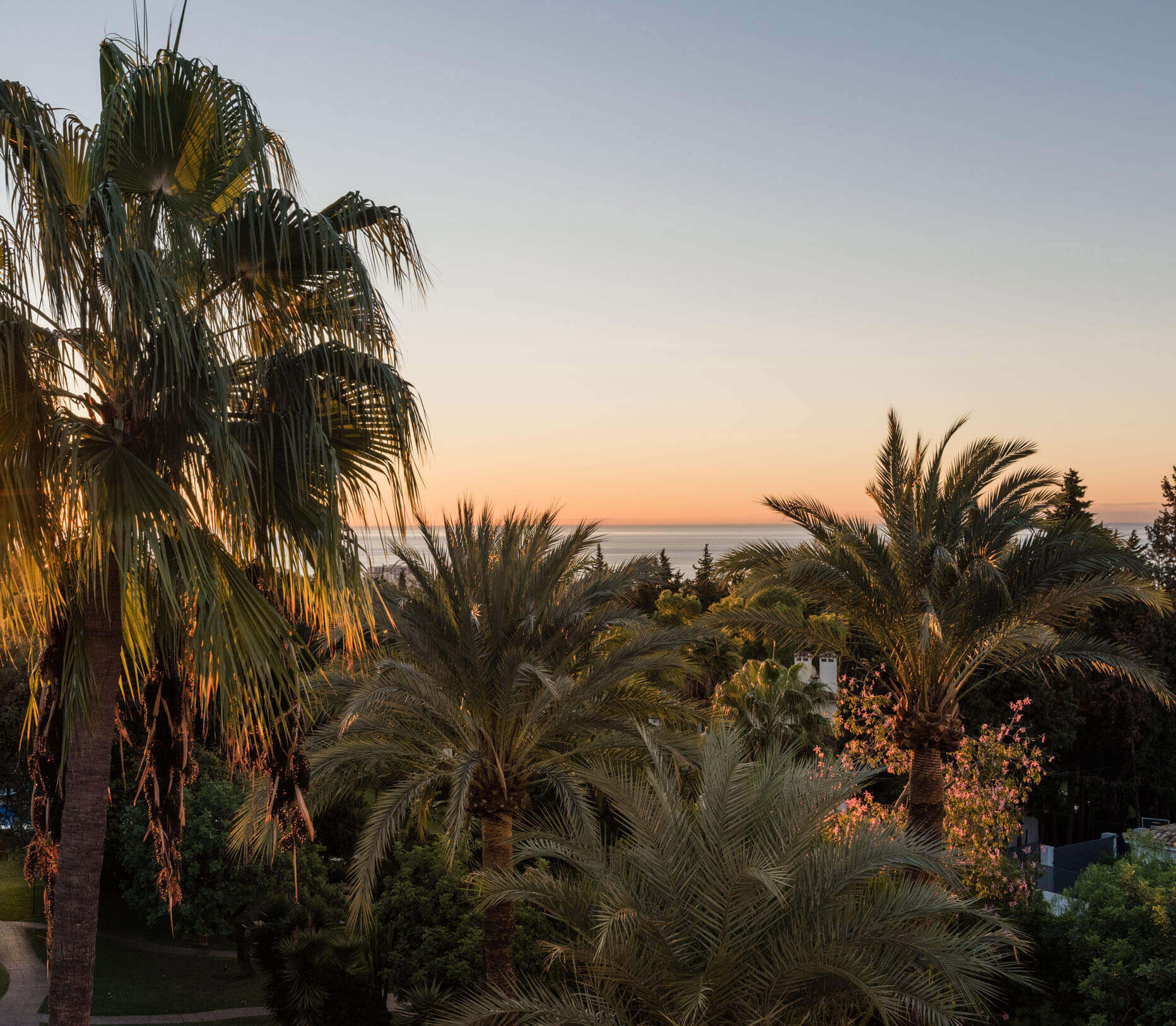 Buchinger Wilhelmi - 3